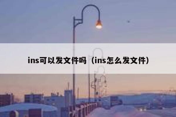ins可以发文件吗（ins怎么发文件） 第1张