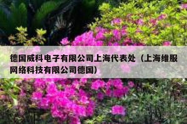 德国威科电子有限公司上海代表处(上海维服网络科技有限公司德国) 第1张 德国威科电子有限公司上海代表处(上海维服网络科技有限公司德国) 第1张