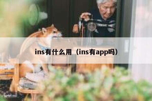 ins有什么用(ins有app吗) 第1张 ins有什么用(ins有app吗) 第1张