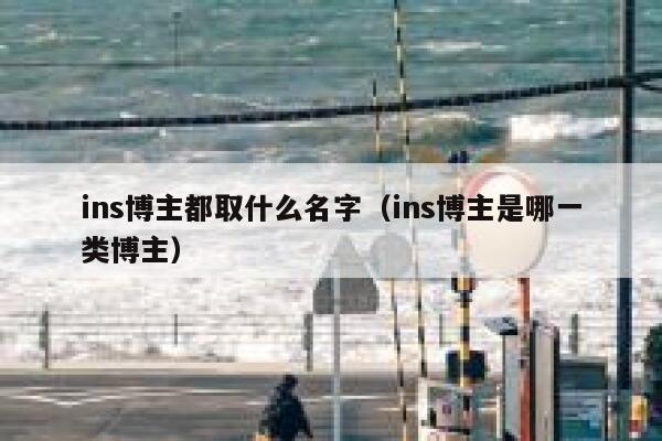 ins博主都取什么名字（ins博主是哪一类博主） 第1张