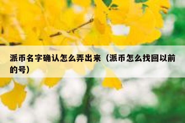 派币名字确认怎么弄出来(派币怎么找回以前的号) 第1张 派币名字确认怎么弄出来(派币怎么找回以前的号) 第1张