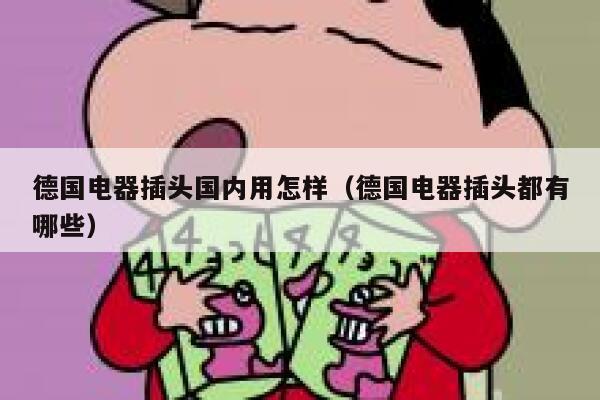 德国电器插头国内用怎样（德国电器插头都有哪些） 第1张