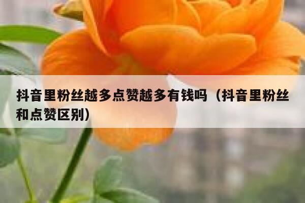 抖音里粉丝越多点赞越多有钱吗（抖音里粉丝和点赞区别） 第1张