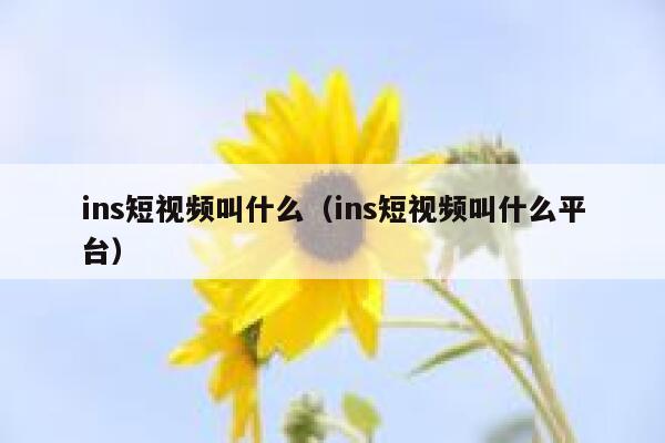 ins短视频叫什么(ins短视频叫什么平台) 第1张 ins短视频叫什么(ins短视频叫什么平台) 第1张