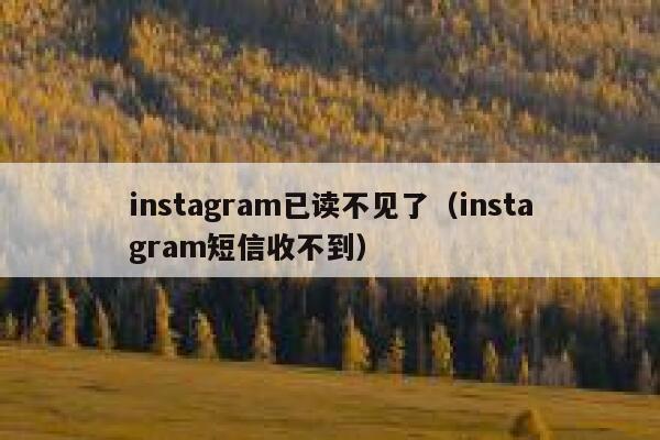 instagram已读不见了(instagram短信收不到) 第1张 instagram已读不见了(instagram短信收不到) 第1张