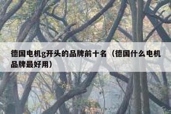 德国电机g开头的品牌前十名(德国什么电机品牌最好用) 第1张 德国电机g开头的品牌前十名(德国什么电机品牌最好用) 第1张