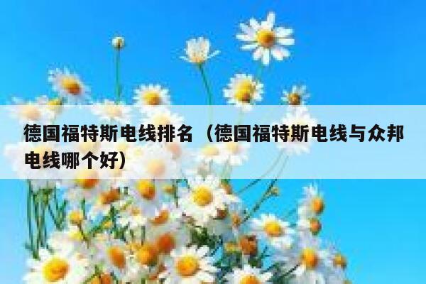 德国福特斯电线排名(德国福特斯电线与众邦电线哪个好) 第1张 德国福特斯电线排名(德国福特斯电线与众邦电线哪个好) 第1张