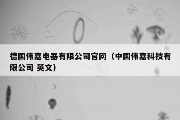 德国伟嘉电器有限公司官网(中国伟嘉科技有限公司 英文) 第1张 德国伟嘉电器有限公司官网(中国伟嘉科技有限公司 英文) 第1张