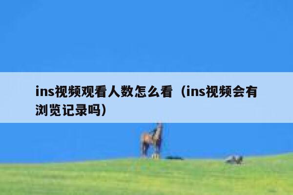 ins视频观看人数怎么看（ins视频会有浏览记录吗） 第1张