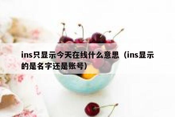 ins只显示今天在线什么意思（ins显示的是名字还是账号） 第1张