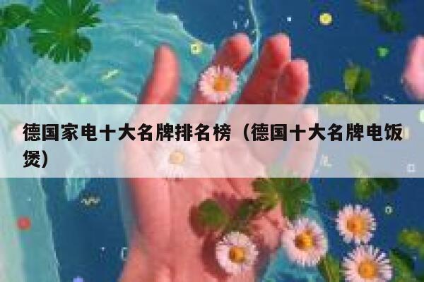 德国家电十大名牌排名榜（德国十大名牌电饭煲） 第1张