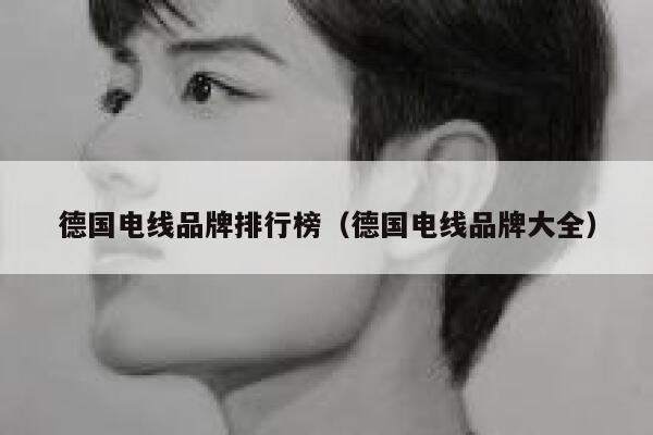 德国电线品牌排行榜(德国电线品牌大全) 第1张 德国电线品牌排行榜(德国电线品牌大全) 第1张
