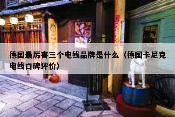 德国最厉害三个电线品牌是什么（德国卡尼克电线口碑评价） 第1张