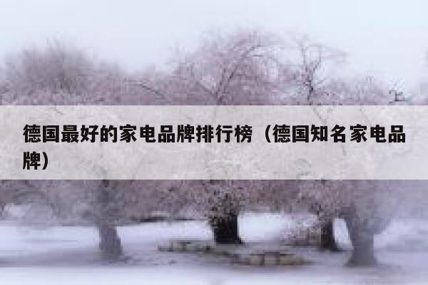 德国最好的家电品牌排行榜(德国知名家电品牌) 第1张 德国最好的家电品牌排行榜(德国知名家电品牌) 第1张