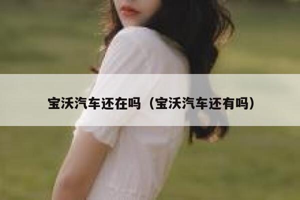 宝沃汽车还在吗(宝沃汽车还有吗) 第1张 宝沃汽车还在吗(宝沃汽车还有吗) 第1张