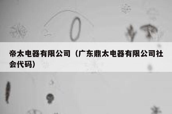 帝太电器有限公司（广东鼎太电器有限公司社会代码） 第1张