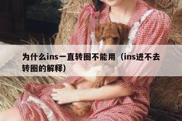 为什么ins一直转圈不能用（ins进不去转圈的解释） 第1张