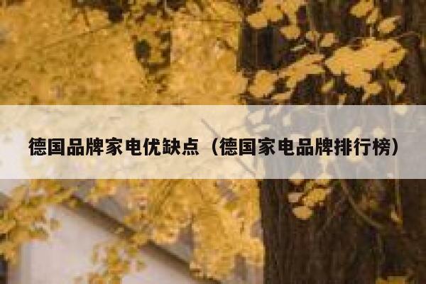 德国品牌家电优缺点（德国家电品牌排行榜） 第1张