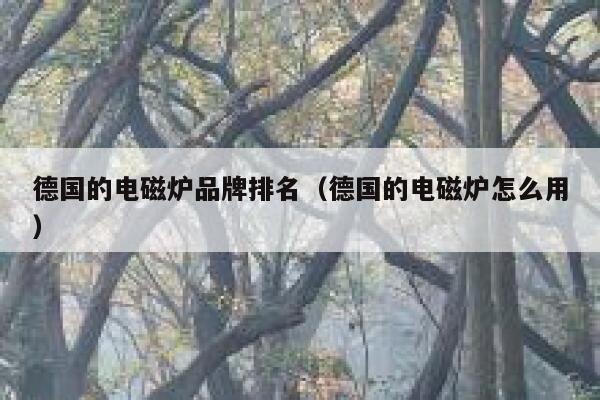 德国的电磁炉品牌排名（德国的电磁炉怎么用） 第1张