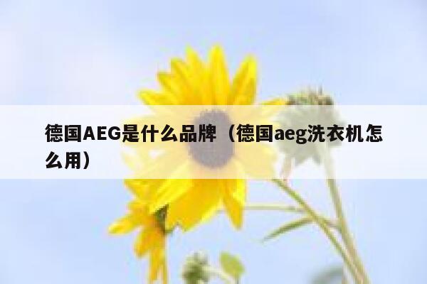 德国AEG是什么品牌(德国aeg洗衣机怎么用) 第1张 德国AEG是什么品牌(德国aeg洗衣机怎么用) 第1张