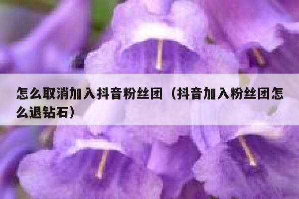 怎么取消加入抖音粉丝团(抖音加入粉丝团怎么退钻石) 第1张 怎么取消加入抖音粉丝团(抖音加入粉丝团怎么退钻石) 第1张