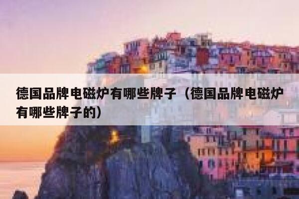 德国品牌电磁炉有哪些牌子（德国品牌电磁炉有哪些牌子的） 第1张