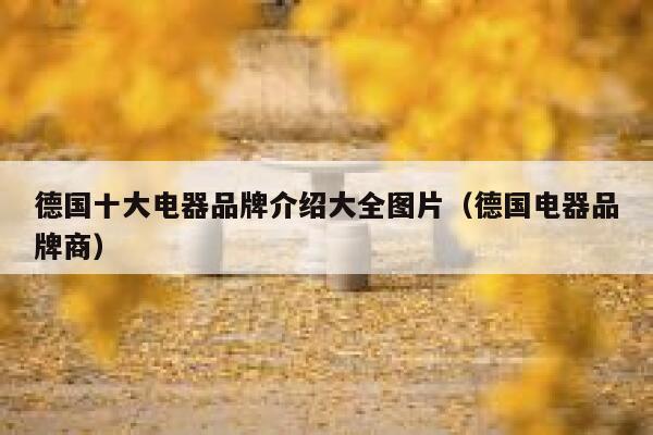 德国十大电器品牌介绍大全图片（德国电器品牌商） 第1张