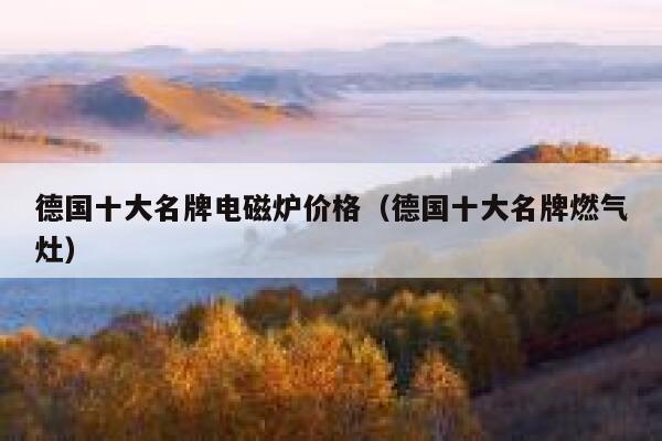 德国十大名牌电磁炉价格(德国十大名牌燃气灶) 第1张 德国十大名牌电磁炉价格(德国十大名牌燃气灶) 第1张