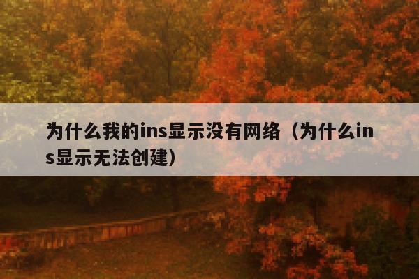 为什么我的ins显示没有网络(为什么ins显示无法创建) 第1张 为什么我的ins显示没有网络(为什么ins显示无法创建) 第1张