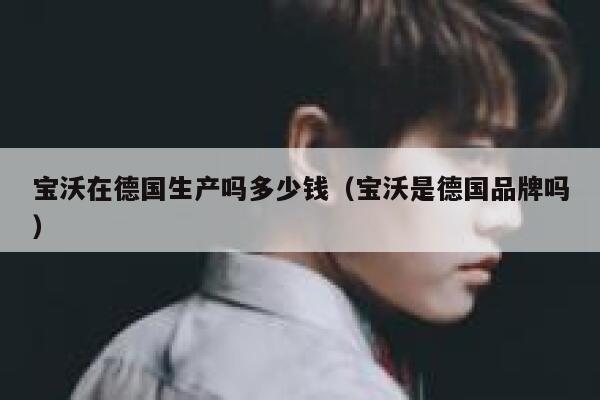 宝沃在德国生产吗多少钱(宝沃是德国品牌吗) 第1张 宝沃在德国生产吗多少钱(宝沃是德国品牌吗) 第1张