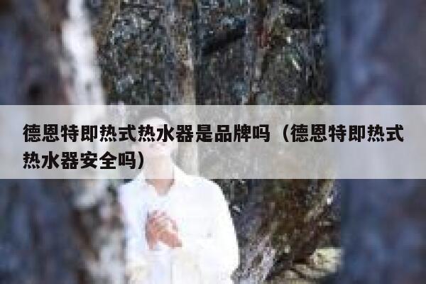 德恩特即热式热水器是品牌吗(德恩特即热式热水器安全吗) 第1张 德恩特即热式热水器是品牌吗(德恩特即热式热水器安全吗) 第1张