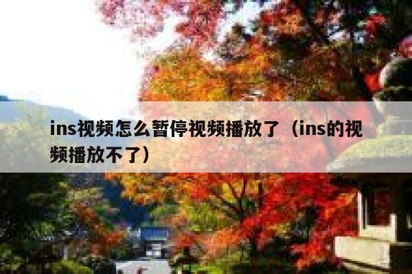 ins视频怎么暂停视频播放了(ins的视频播放不了) 第1张 ins视频怎么暂停视频播放了(ins的视频播放不了) 第1张