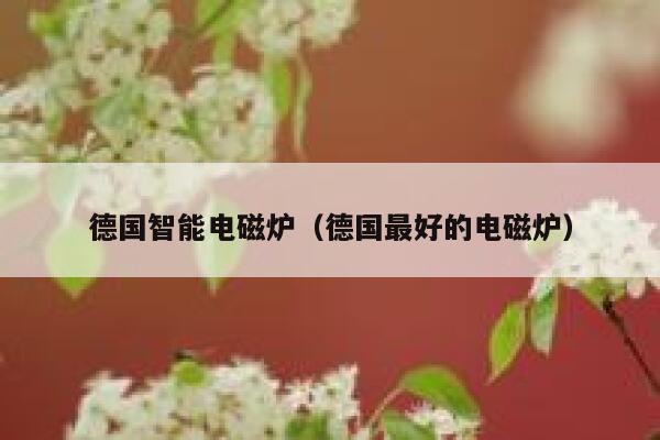 德国智能电磁炉(德国最好的电磁炉) 第1张 德国智能电磁炉(德国最好的电磁炉) 第1张