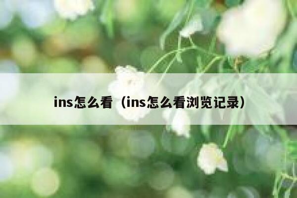 ins怎么看(ins怎么看浏览记录) 第1张 ins怎么看(ins怎么看浏览记录) 第1张