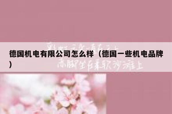 德国机电有限公司怎么样(德国一些机电品牌) 第1张 德国机电有限公司怎么样(德国一些机电品牌) 第1张