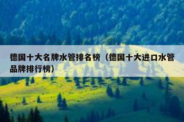 德国十大名牌水管排名榜(德国十大进口水管品牌排行榜) 第1张 德国十大名牌水管排名榜(德国十大进口水管品牌排行榜) 第1张