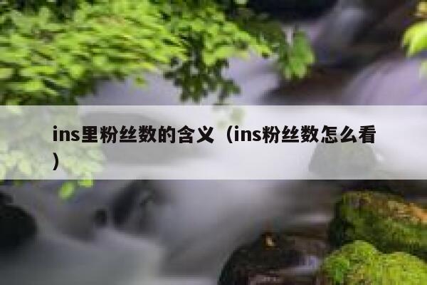 ins里粉丝数的含义（ins粉丝数怎么看） 第1张