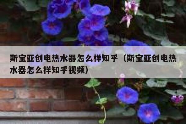 斯宝亚创电热水器怎么样知乎(斯宝亚创电热水器怎么样知乎视频) 第1张 斯宝亚创电热水器怎么样知乎(斯宝亚创电热水器怎么样知乎视频) 第1张