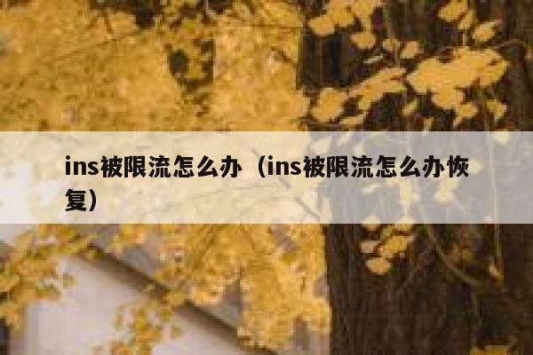 ins被限流怎么办（ins被限流怎么办恢复） 第1张