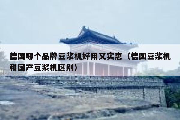 德国哪个品牌豆浆机好用又实惠（德国豆浆机和国产豆浆机区别） 第1张