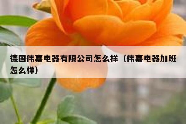 德国伟嘉电器有限公司怎么样(伟嘉电器加班怎么样) 第1张 德国伟嘉电器有限公司怎么样(伟嘉电器加班怎么样) 第1张