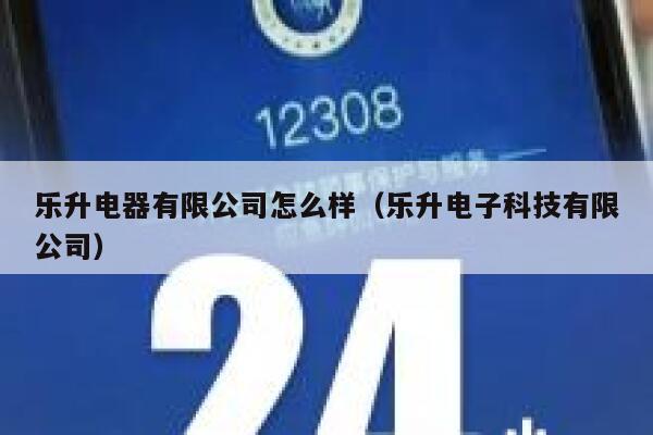 乐升电器有限公司怎么样（乐升电子科技有限公司） 第1张