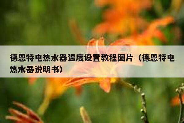 德恩特电热水器温度设置教程图片（德恩特电热水器说明书） 第1张