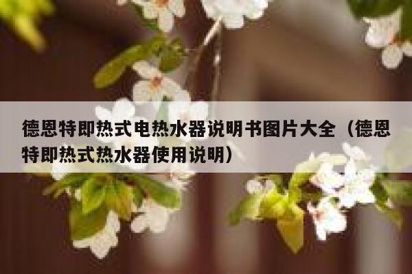 德恩特即热式电热水器说明书图片大全(德恩特即热式热水器使用说明) 第1张 德恩特即热式电热水器说明书图片大全(德恩特即热式热水器使用说明) 第1张
