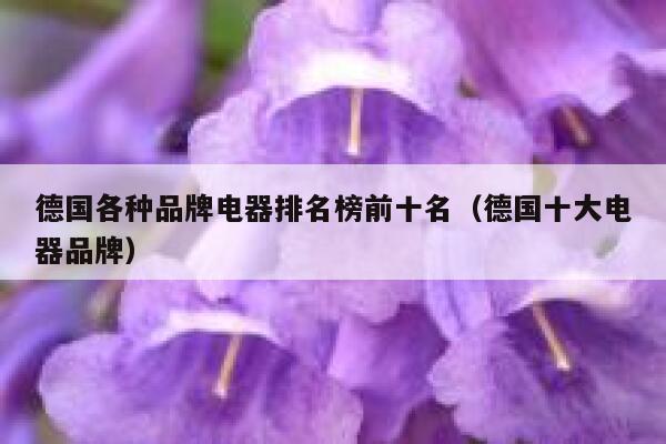 德国各种品牌电器排名榜前十名(德国十大电器品牌) 第1张 德国各种品牌电器排名榜前十名(德国十大电器品牌) 第1张