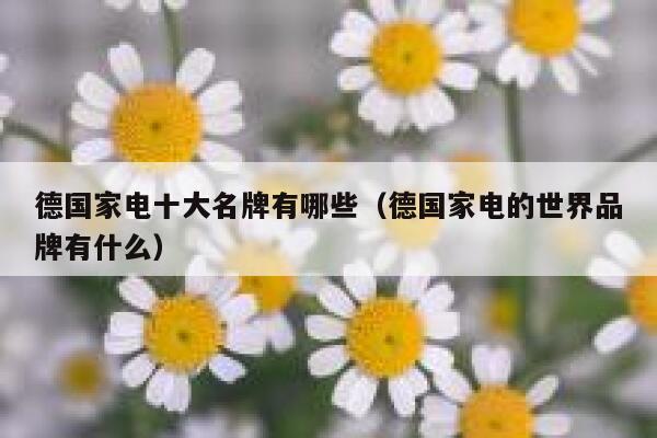 德国家电十大名牌有哪些(德国家电的世界品牌有什么) 第1张 德国家电十大名牌有哪些(德国家电的世界品牌有什么) 第1张
