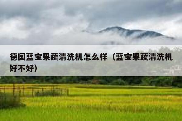 德国蓝宝果蔬清洗机怎么样(蓝宝果蔬清洗机好不好) 第1张 德国蓝宝果蔬清洗机怎么样(蓝宝果蔬清洗机好不好) 第1张