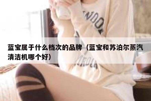 蓝宝属于什么档次的品牌(蓝宝和苏泊尔蒸汽清洁机哪个好) 第1张 蓝宝属于什么档次的品牌(蓝宝和苏泊尔蒸汽清洁机哪个好) 第1张