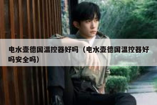 电水壶德国温控器好吗（电水壶德国温控器好吗安全吗） 第1张