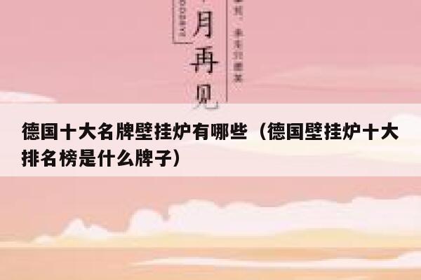 德国十大名牌壁挂炉有哪些（德国壁挂炉十大排名榜是什么牌子） 第1张